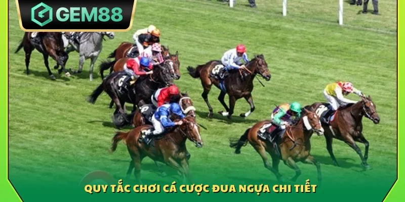 Quy tắc chơi cá cược đua ngựa chi tiết 