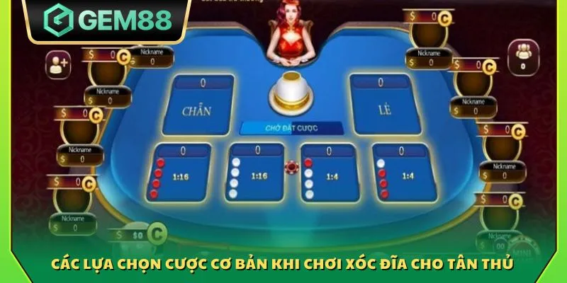 Kỹ thuật chơi xóc đĩa - Bí quyết giúp người mới dễ thắng lớn 3 Các lựa chọn cược cơ bản khi chơi xóc đĩa cho tân thủ