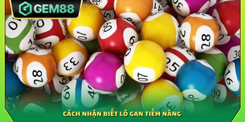 Cách nhận biết lô gan tiềm năng