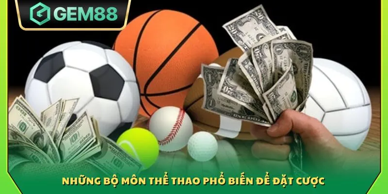 Những bộ môn thể thao phổ biến để đặt cược